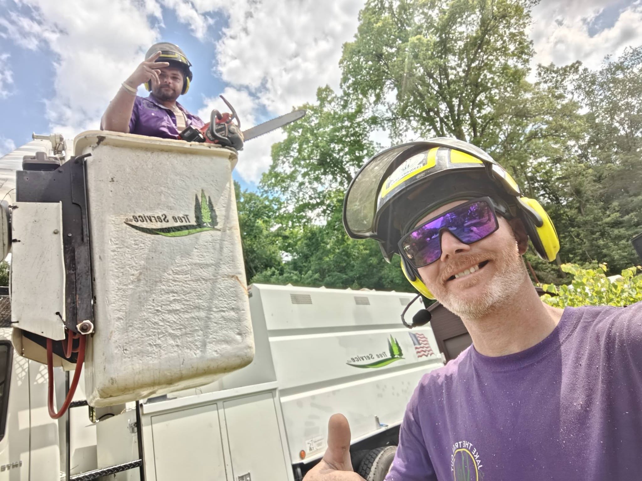 Tree removal equipment