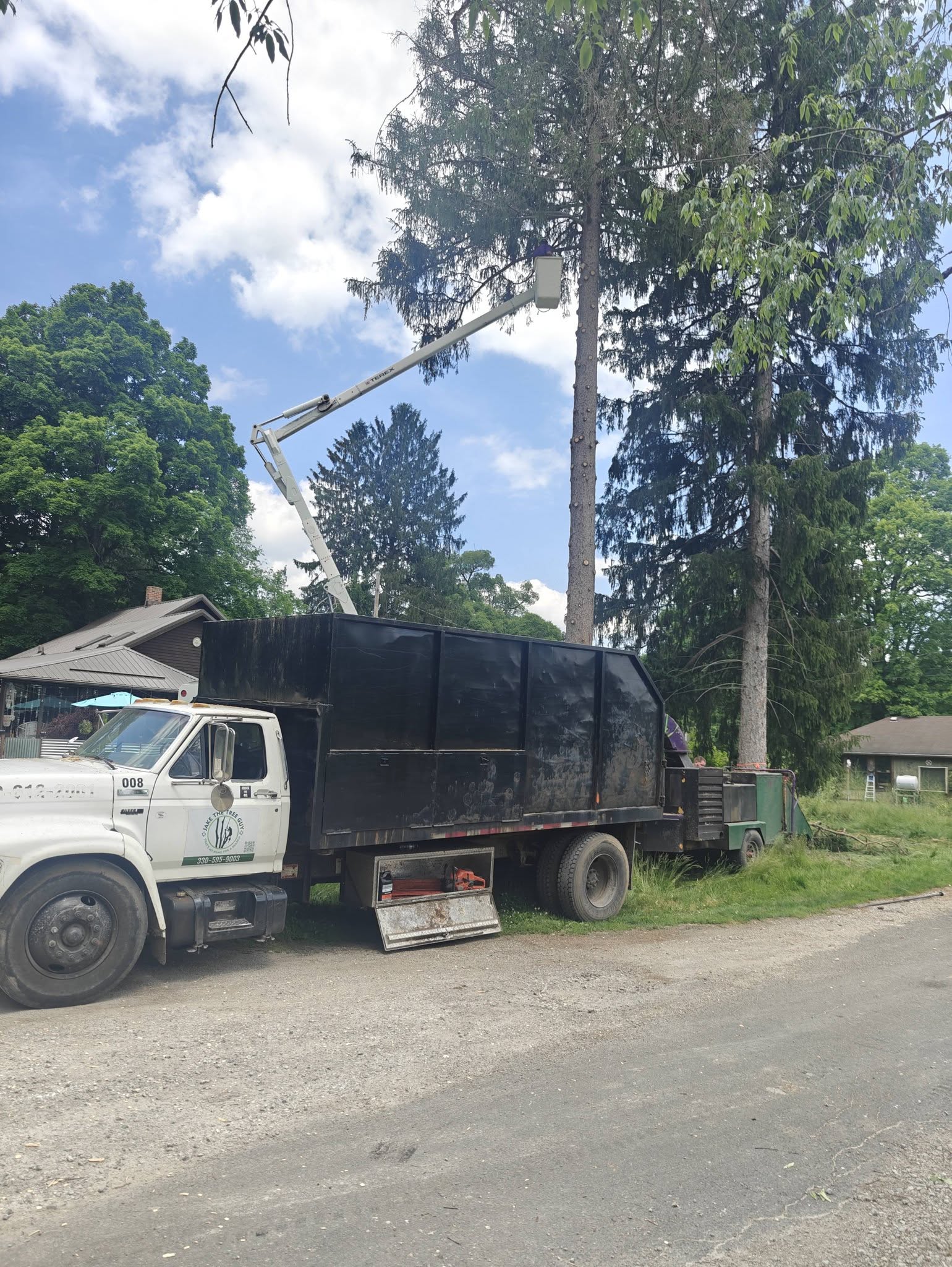 Tree service in action