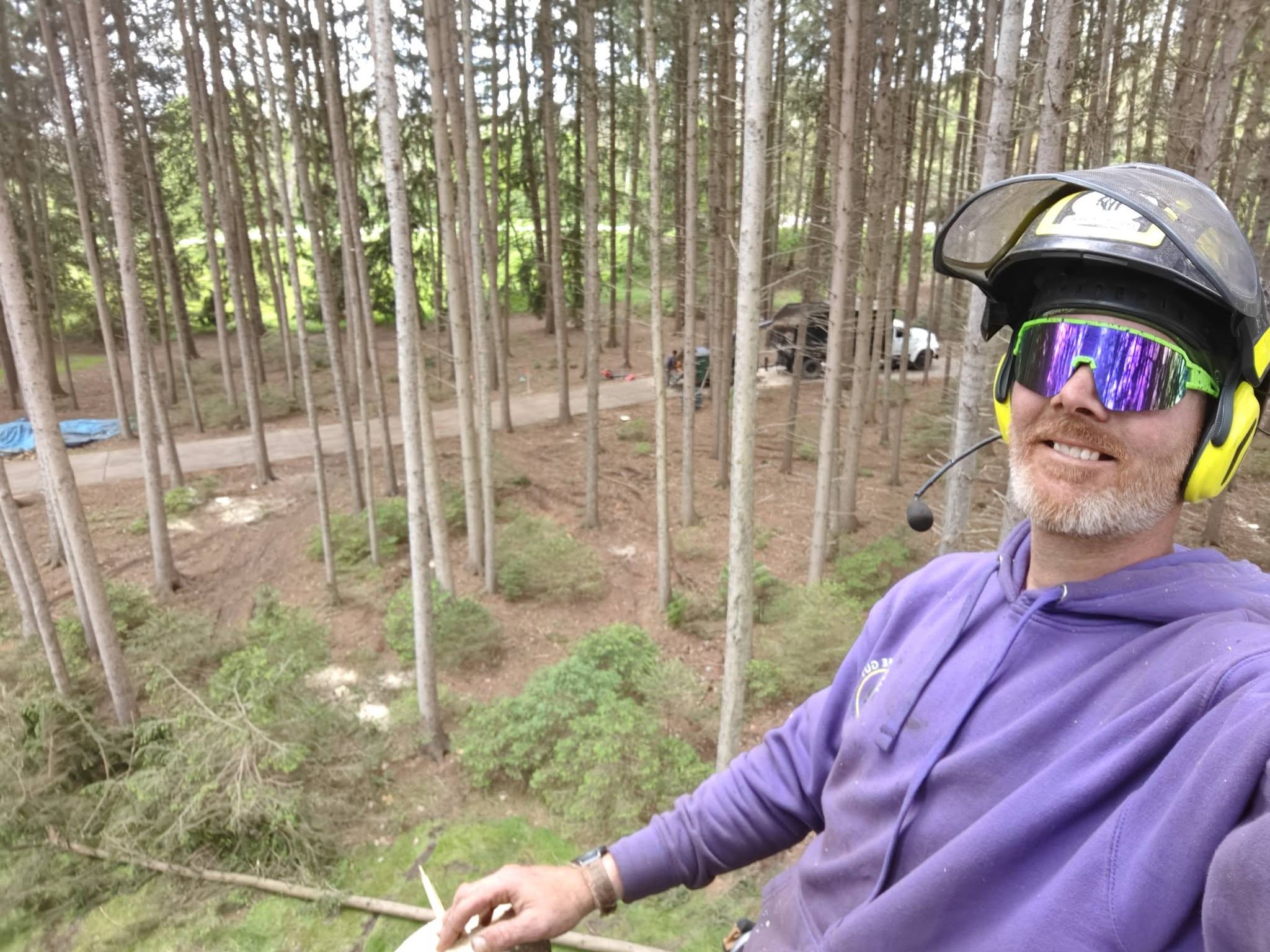 Jake in pine forest