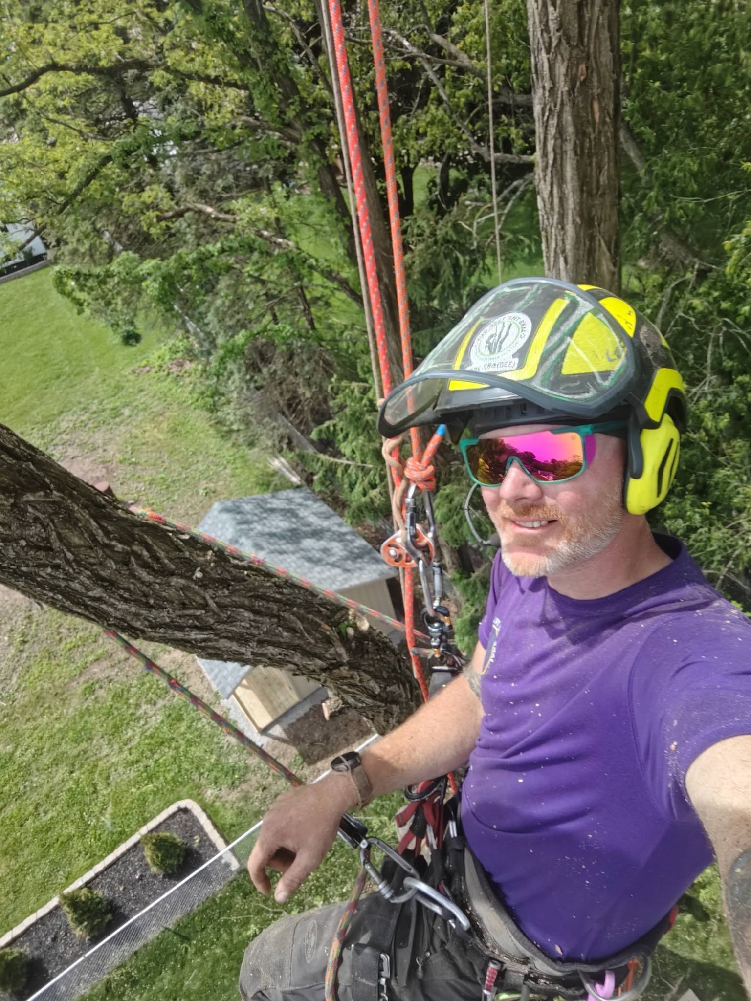 Jake in gear up in a tree