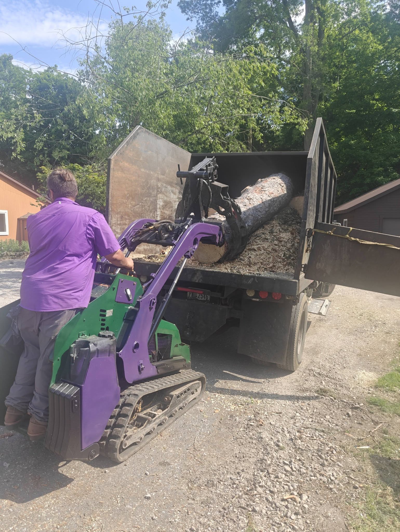 Log cleanup